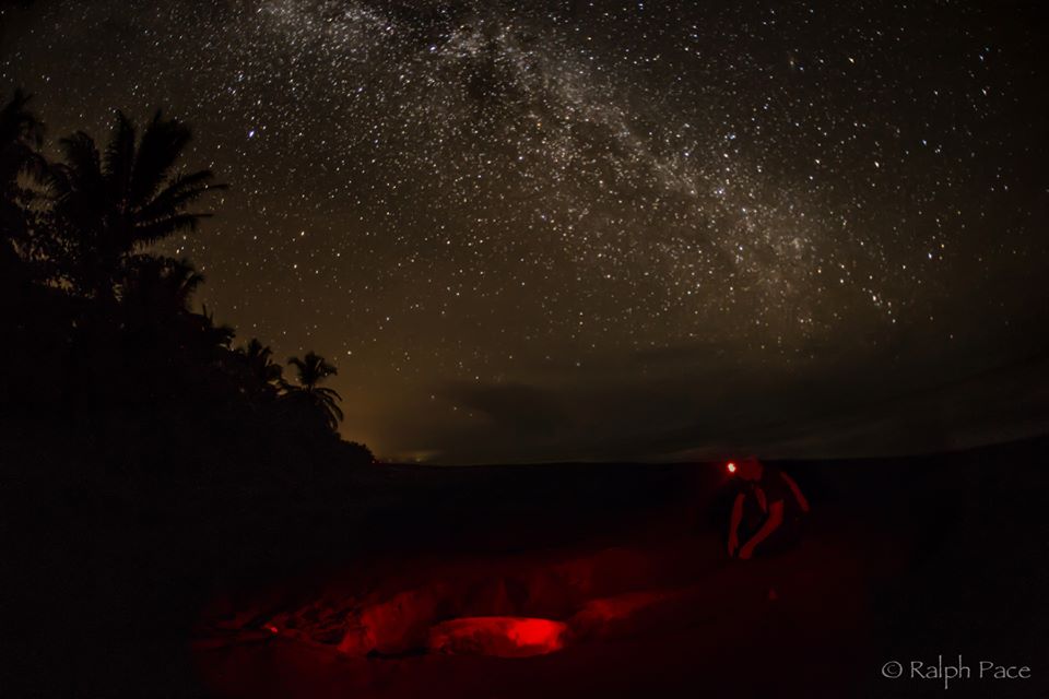 Gathering sea turtle data under a beautiful night sky. Photo by Ralph Pace